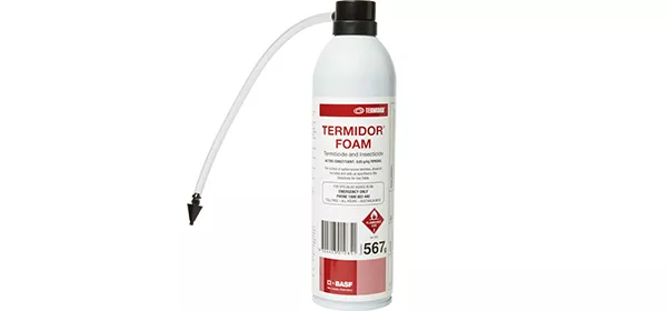 Termite foam for treating voids