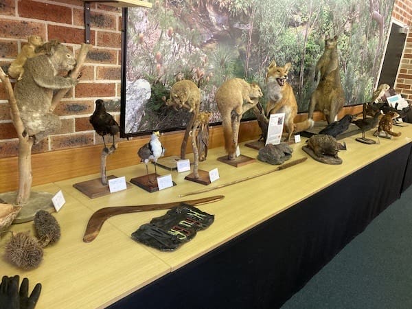 Taxidermy Mounts of Native Animals being protected from pests