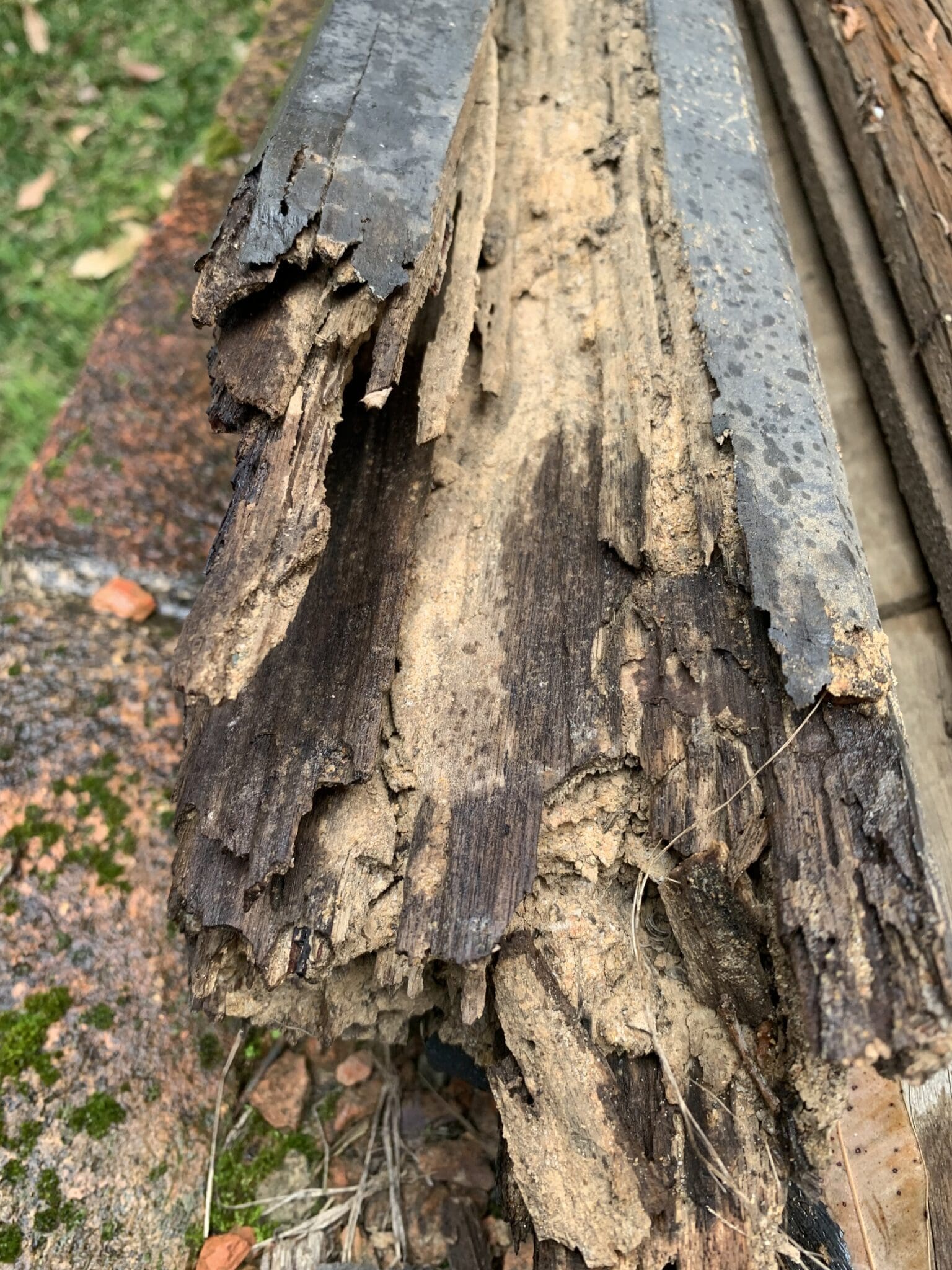 Termite damage occasioned in a veranda post of a house in Picton